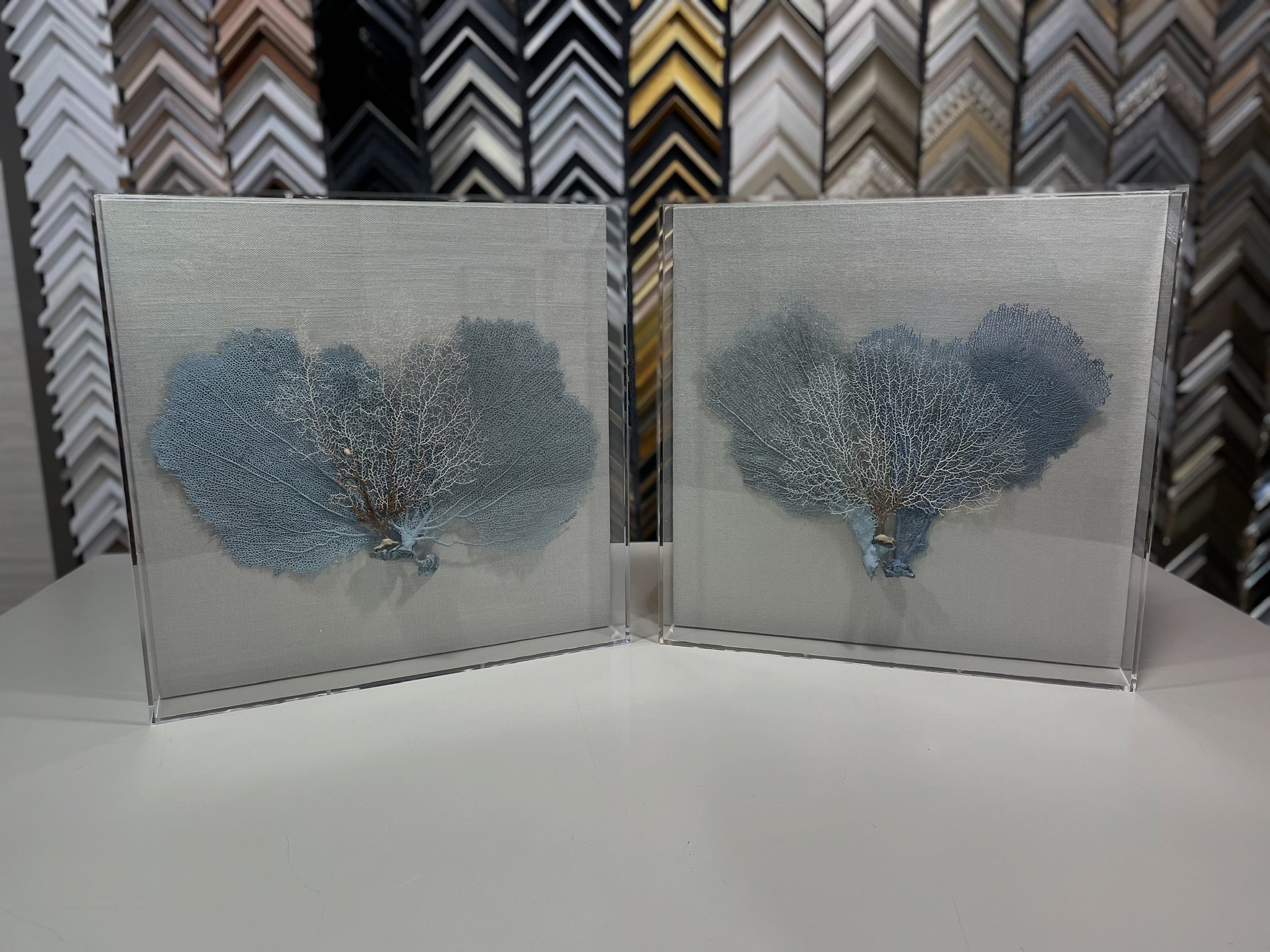 cutting for custom sea fan acrylic box | Aldecor Custom Framing & Gallery - Naples, Florida